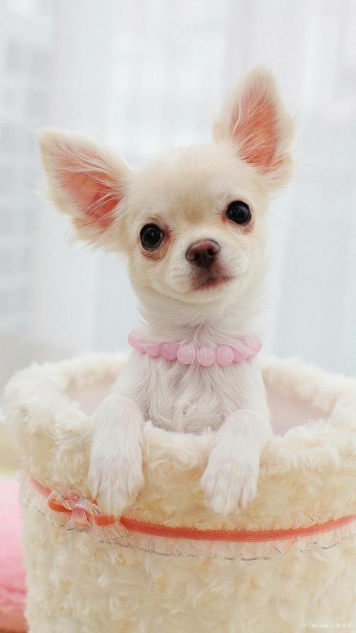 й½ϳƫ ȫůorȫ䣿